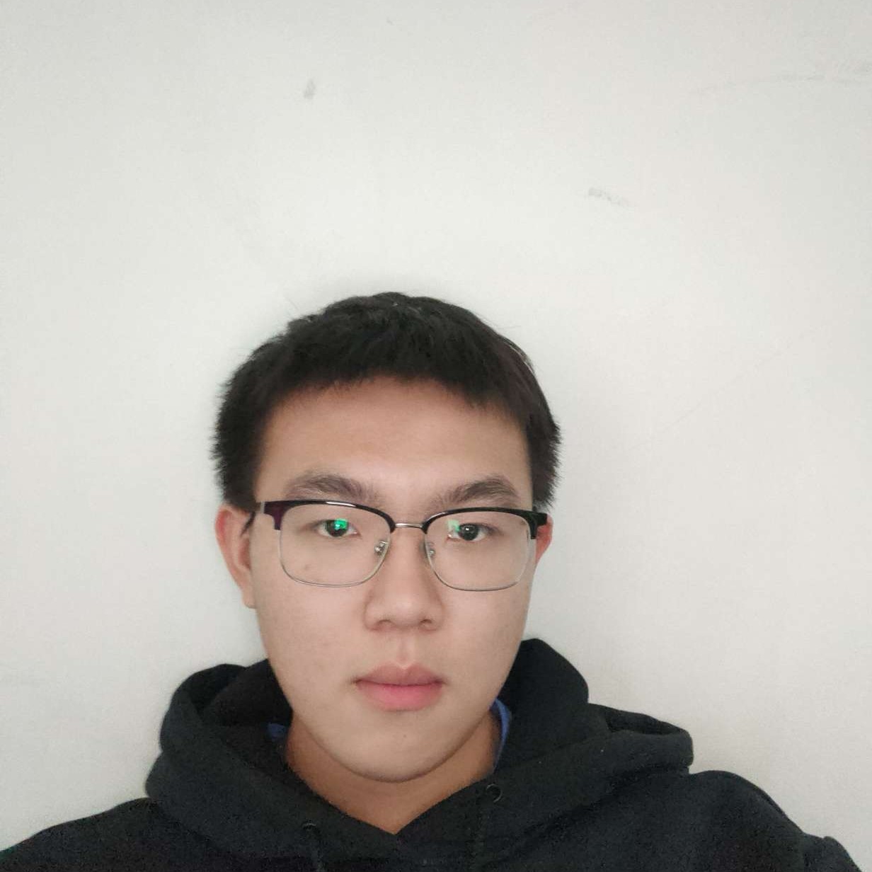 高大给枫叶的照片