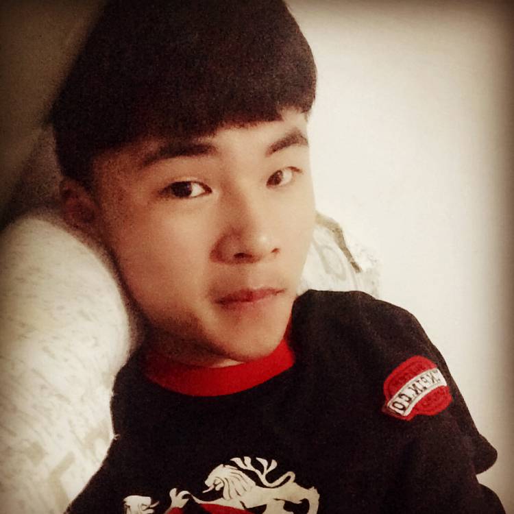 长枪依在的照片