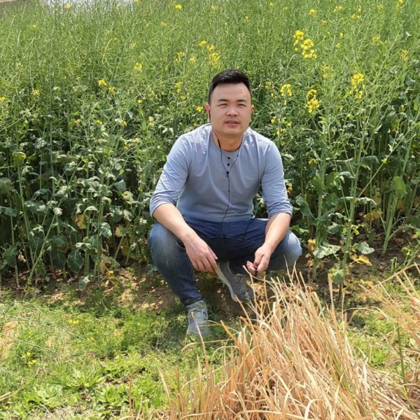 画笔打初夏的照片
