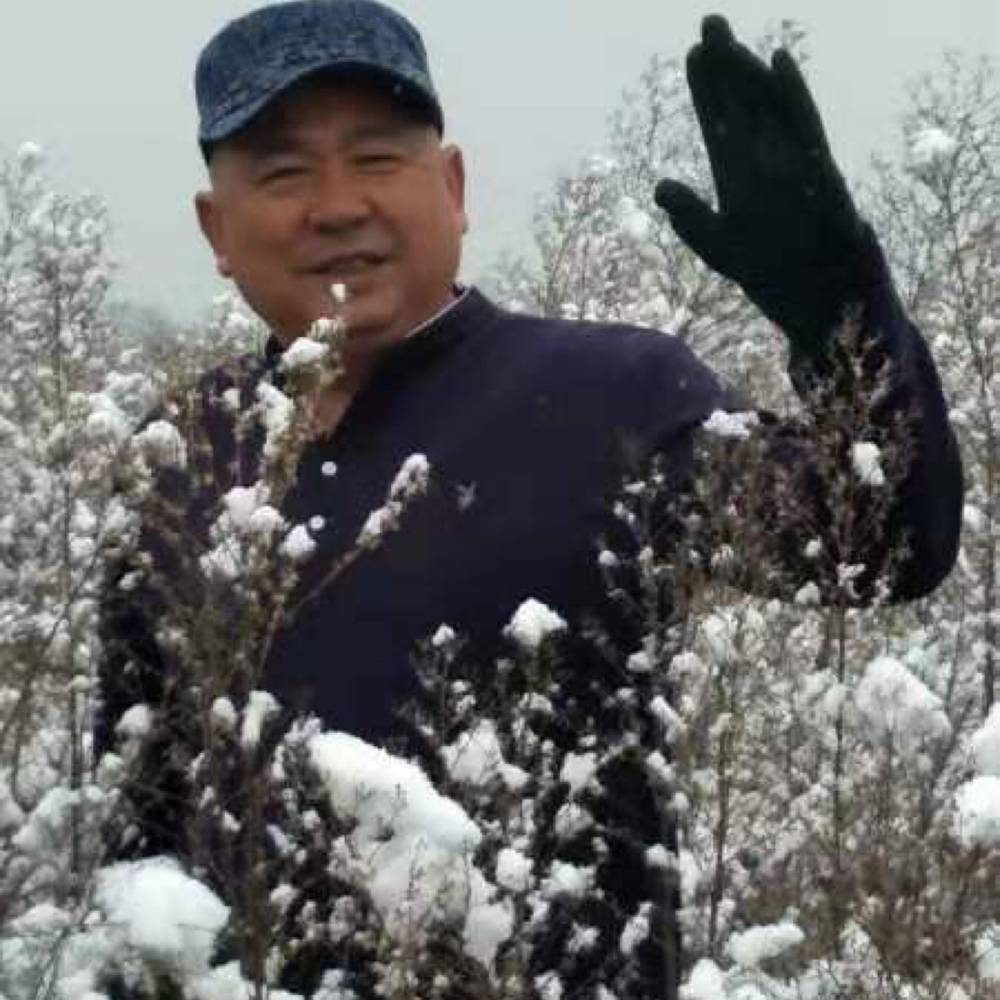 仙人掌就仁爱的照片