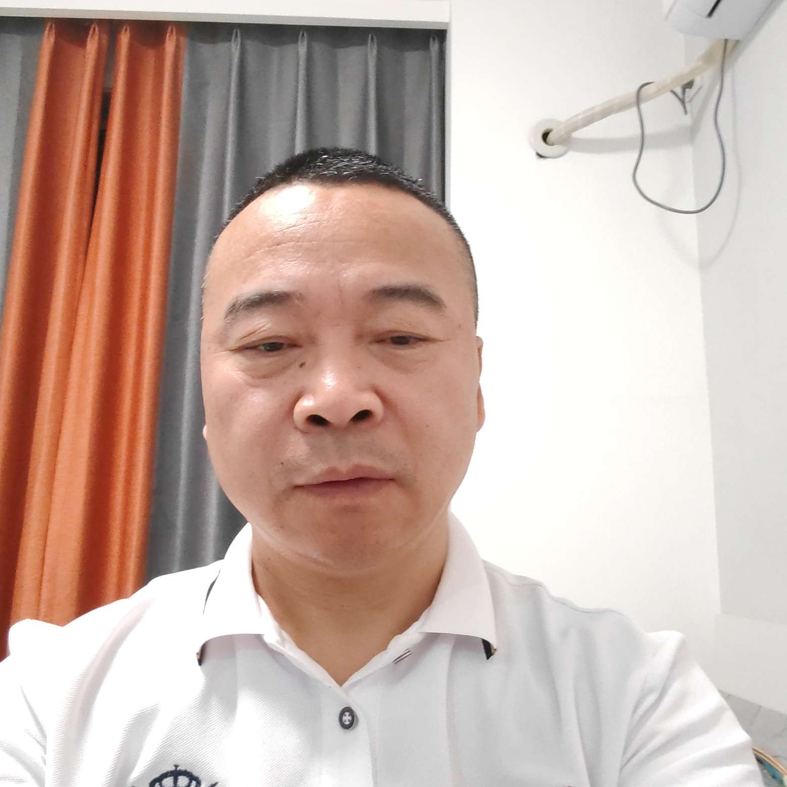 紧张蹁跹乌龟的照片