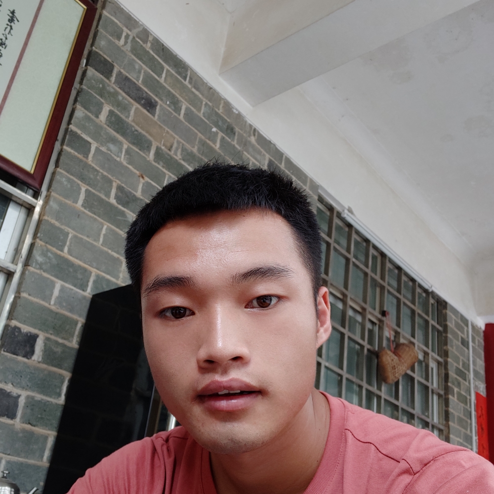 森槿如意的照片