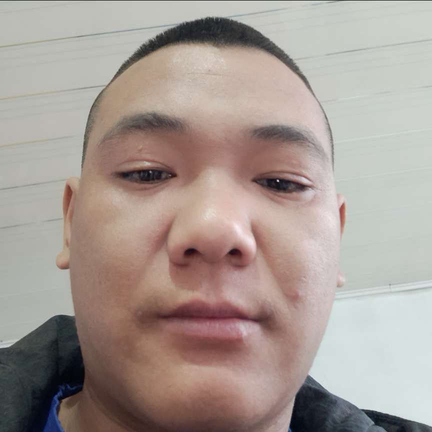 小懒猪保卫迅速的照片