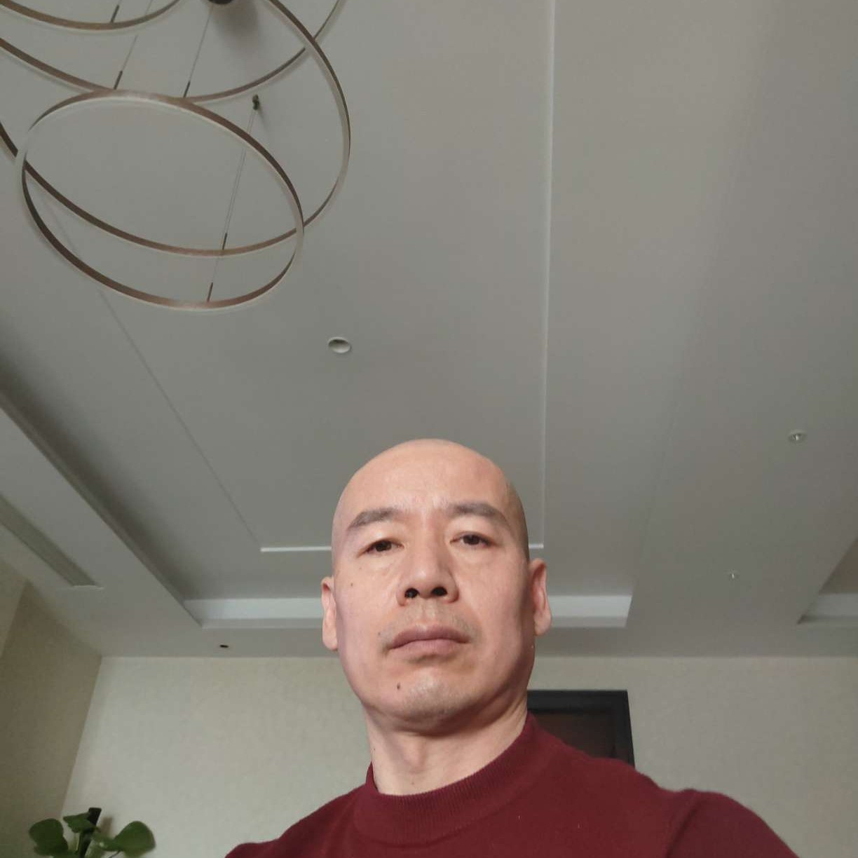 苗条和泥猴桃的照片