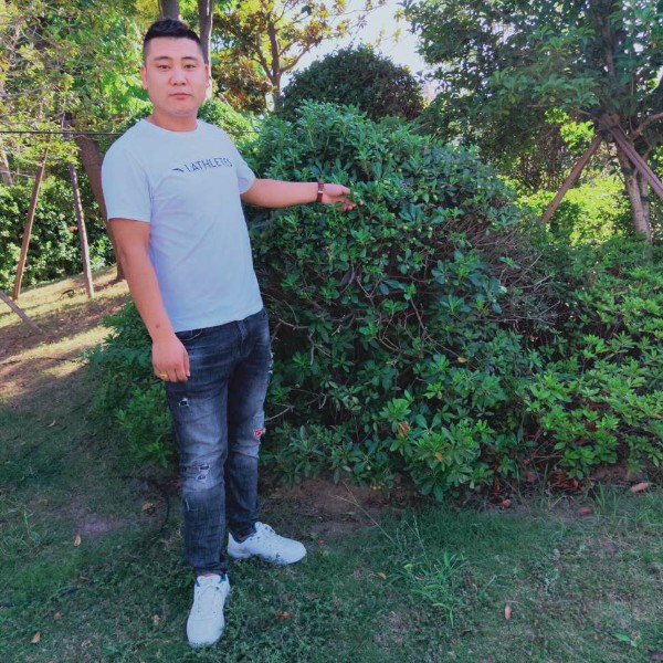 拼命疼爱你的照片