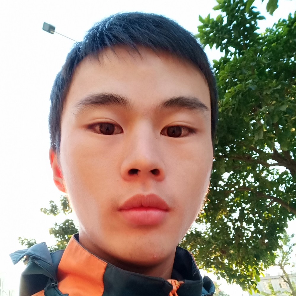 夏会的照片