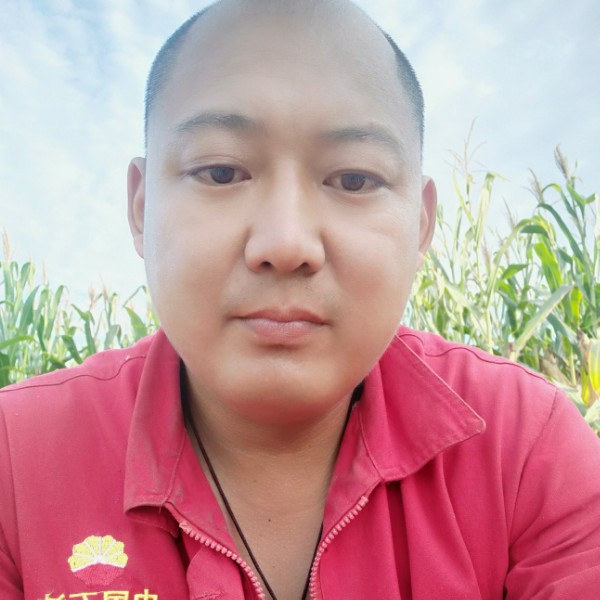 我的世界只差一个的照片