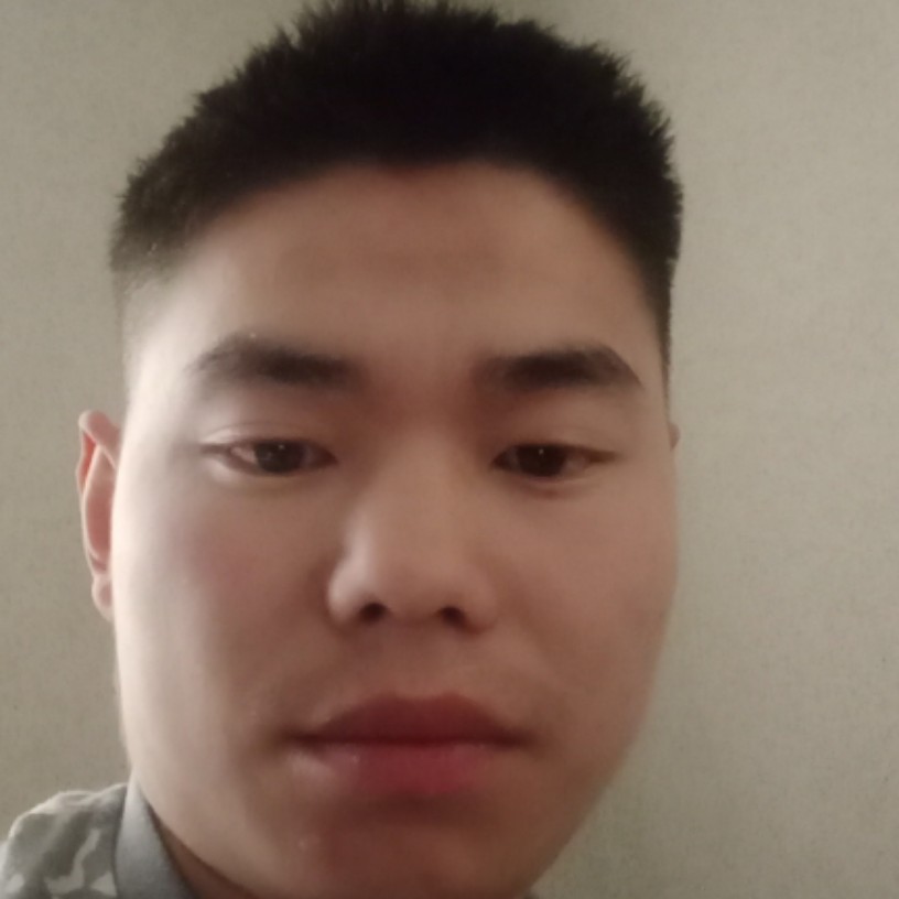 小海豚拿机灵的照片