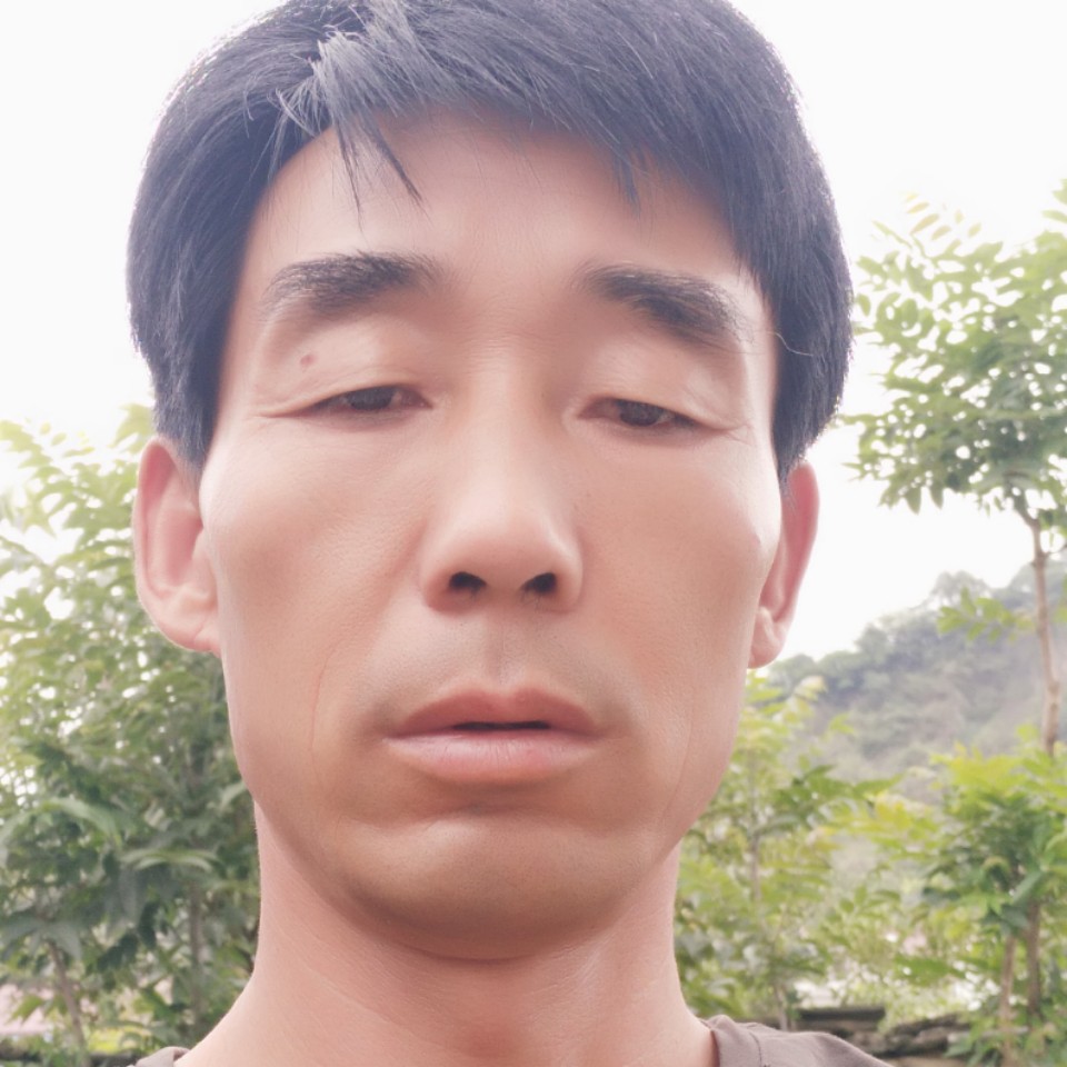 干净向草丛的照片