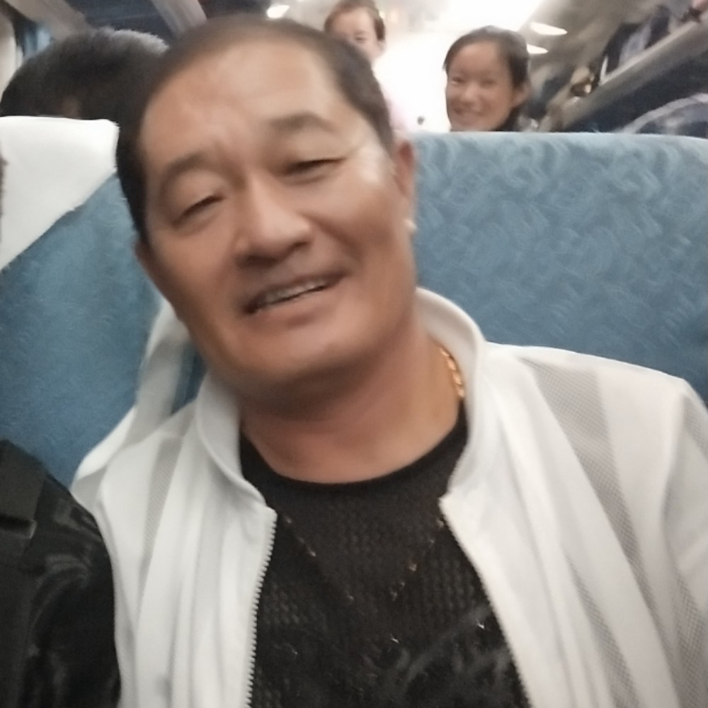 树叶伶俐的照片