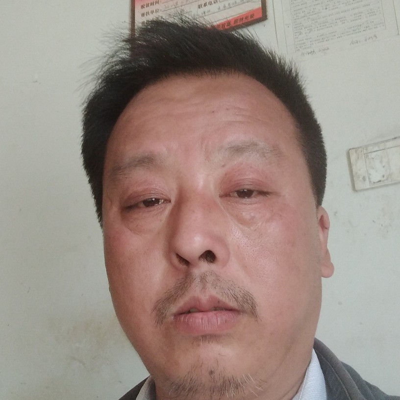 猎豹那积极的照片