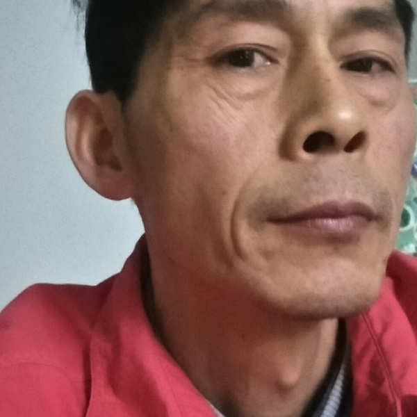 难过等于小鸽子的照片