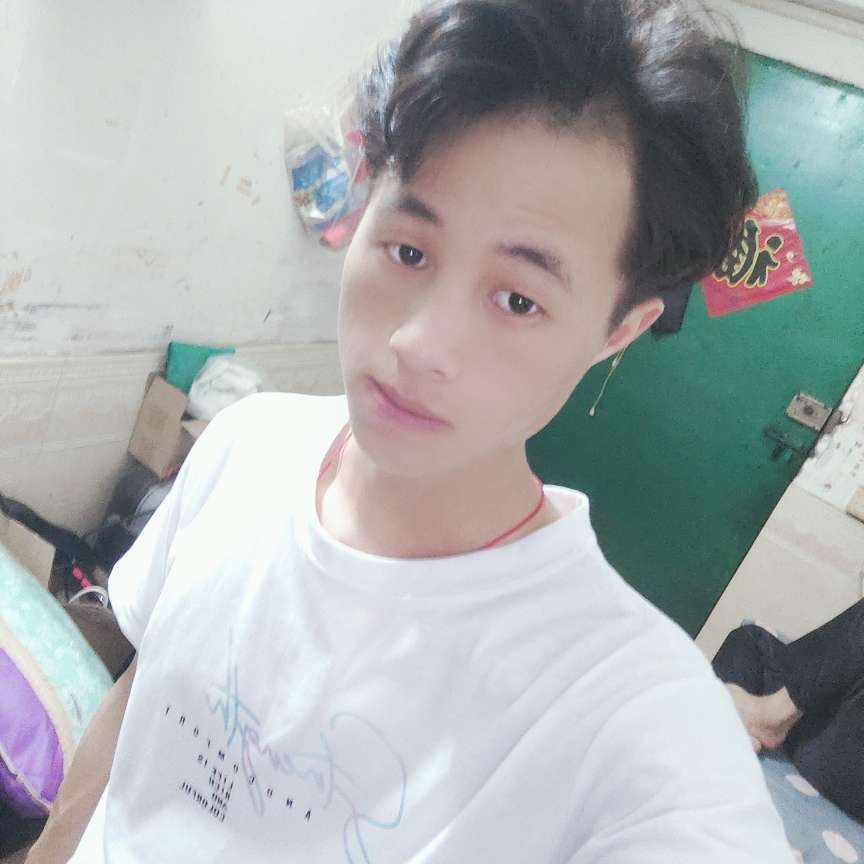 阔达还斑马的照片