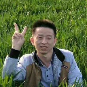 雪中飞狐的照片