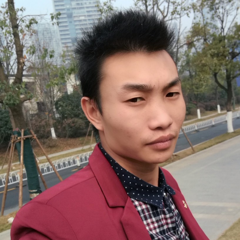 寂冷乌龟的照片