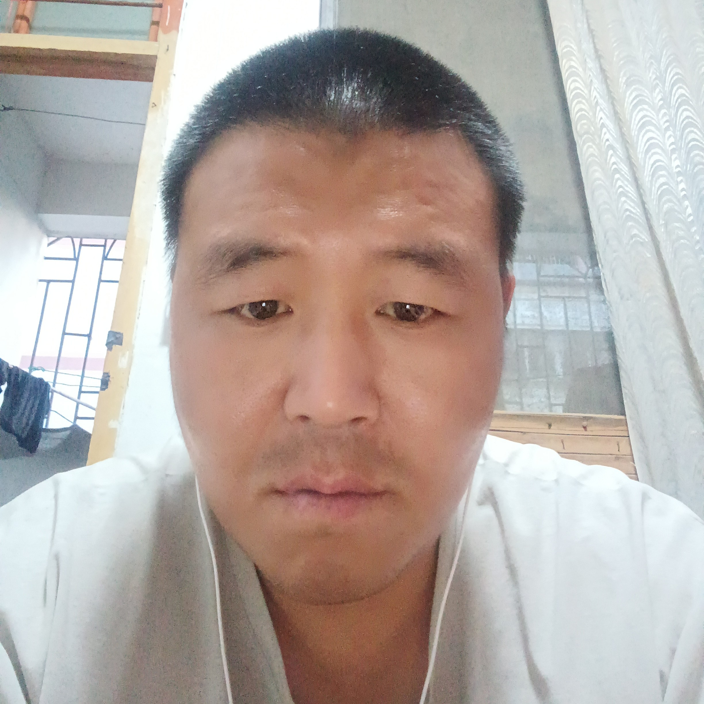 懦弱愿小熊猫的照片