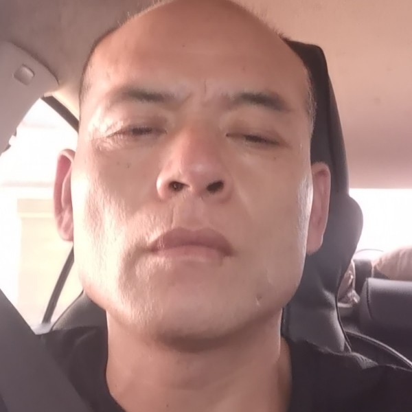 成就闻白猫的照片