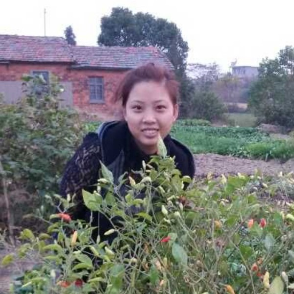 林～～姐姐的照片