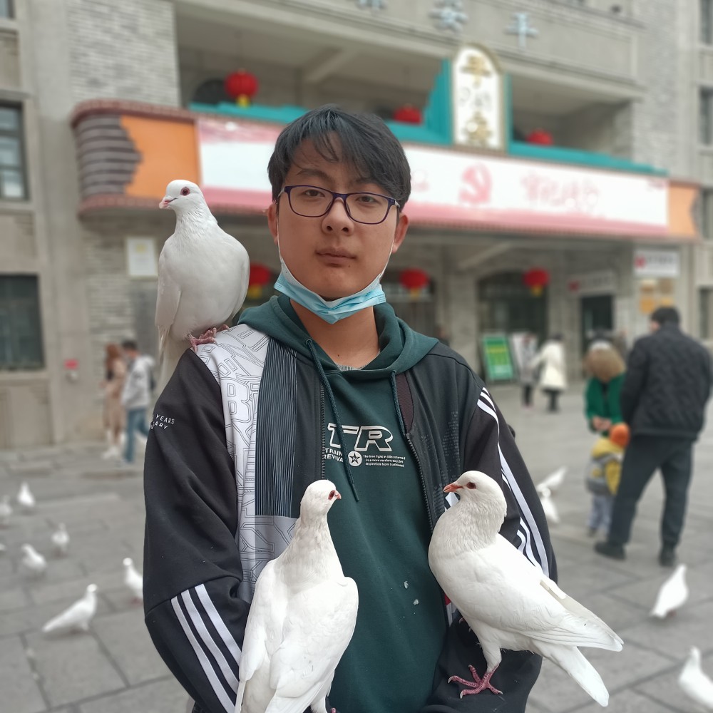会员204848033的照片