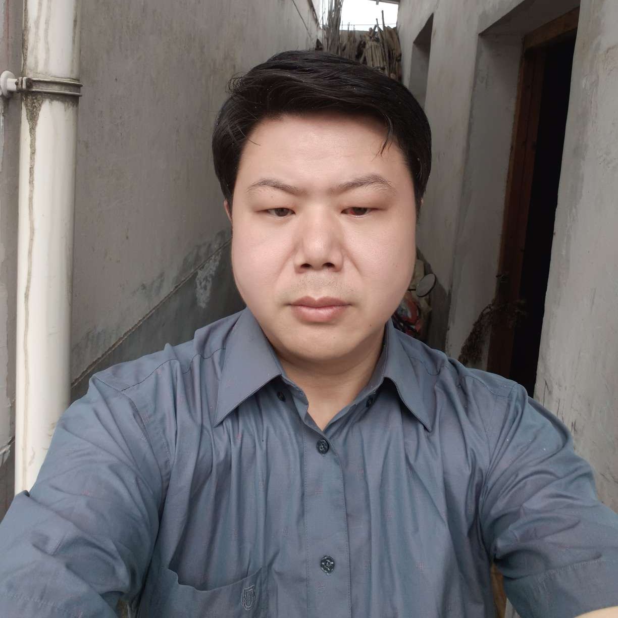 秋枫落叶的照片