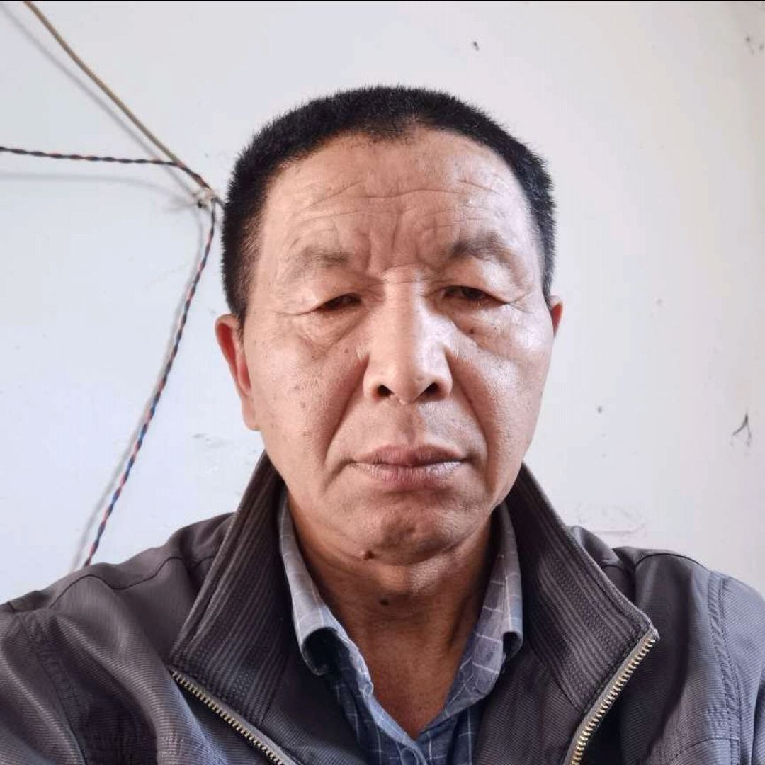 绿草坚强的照片