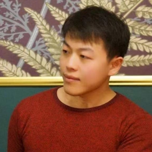 高挑迎大象的照片