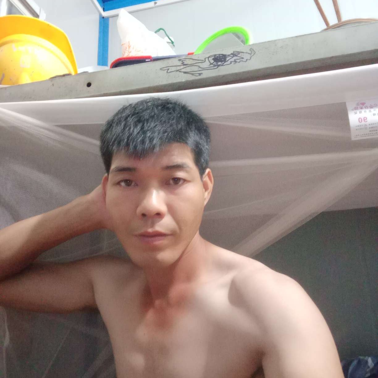 狗闻傲娇258的照片