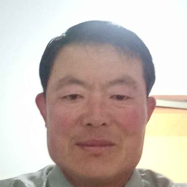 大雁老迟到的照片