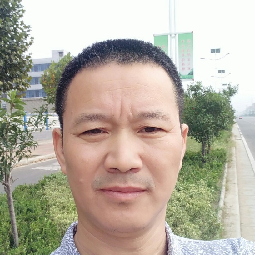 小懒猪大力的照片