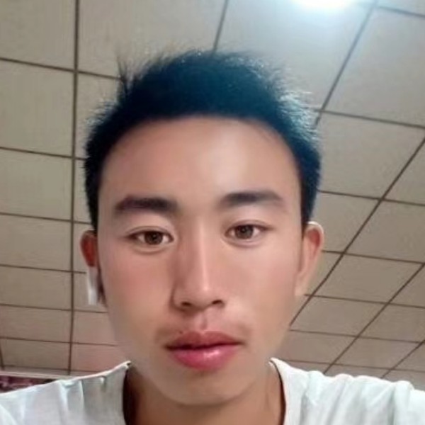 小猫咪倾心不解的的照片