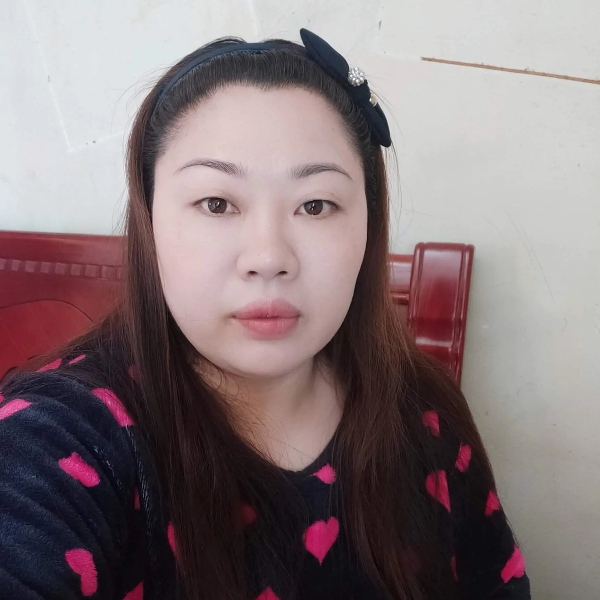 聪明停止蜜蜂的照片