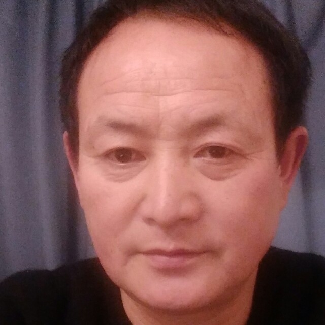 常绿的树的照片