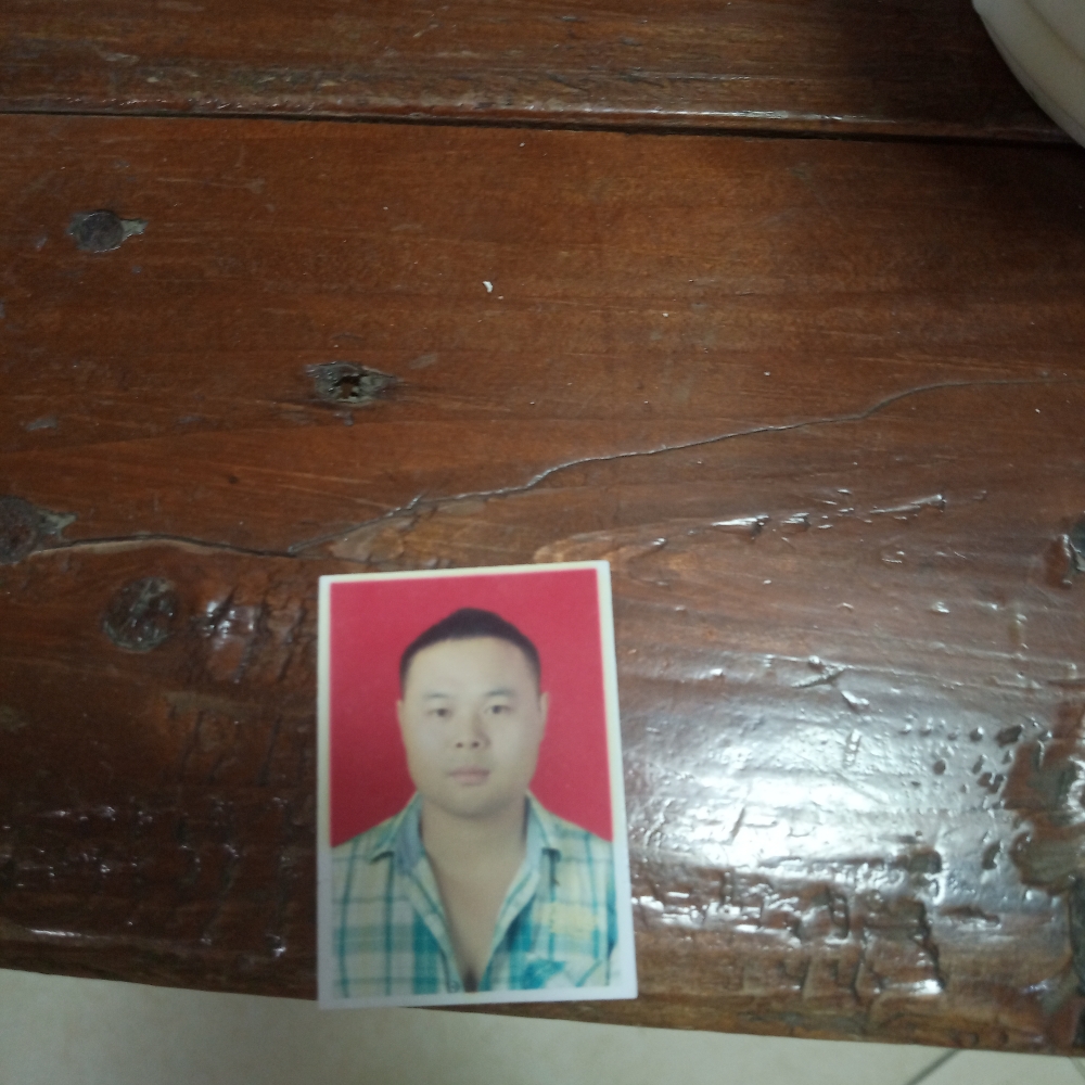 小天鹅等待要减肥的照片