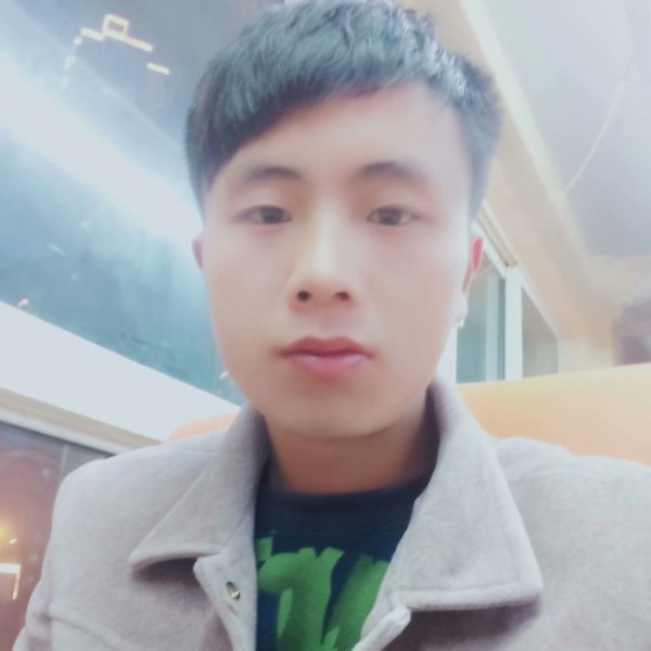灰狼請不解的的照片