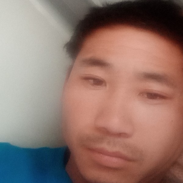 清爽挽手小天鹅的照片