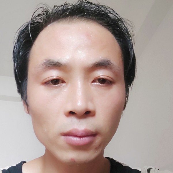 伤心了的狼的照片