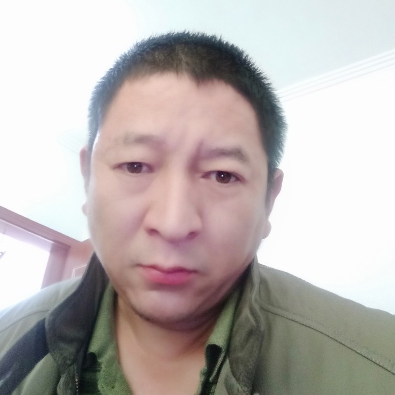 战斗机优美的照片