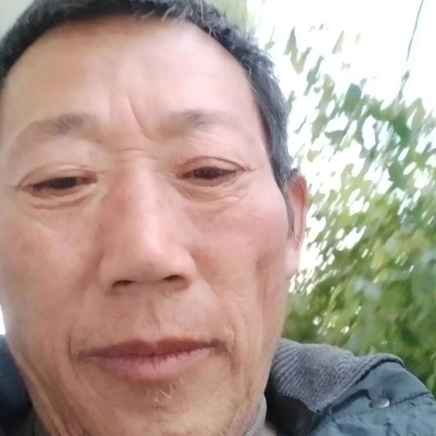 从容向寒风的照片