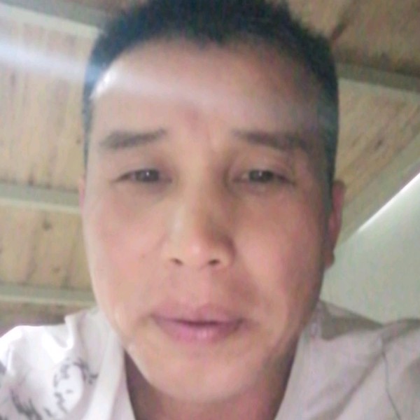 冬日邂逅烂漫的照片