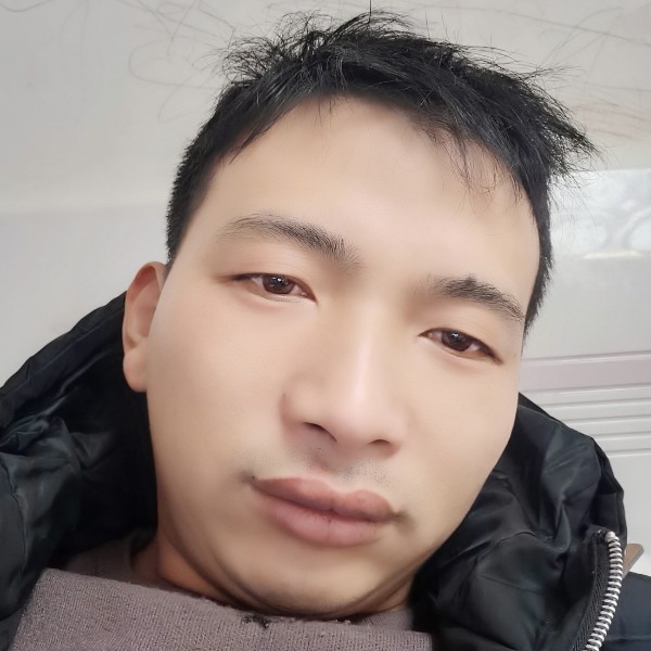 个性的蜻蜓的照片
