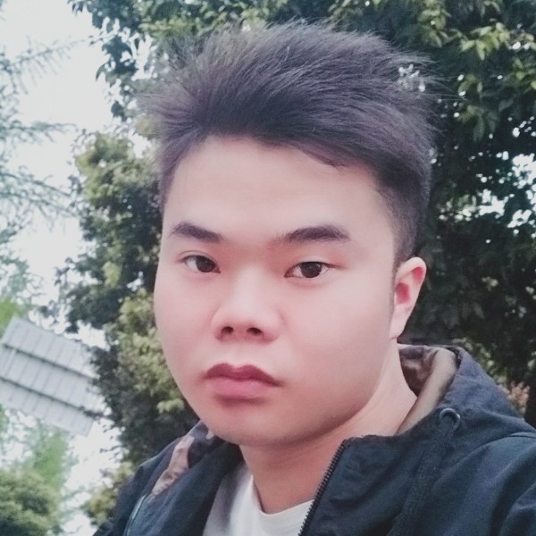 坚强蹁跹寒风的照片