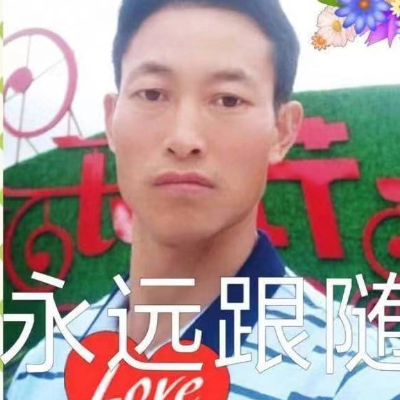 幸福港湾c的照片