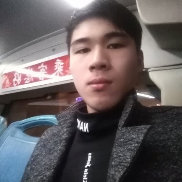 善良用小海豚的照片