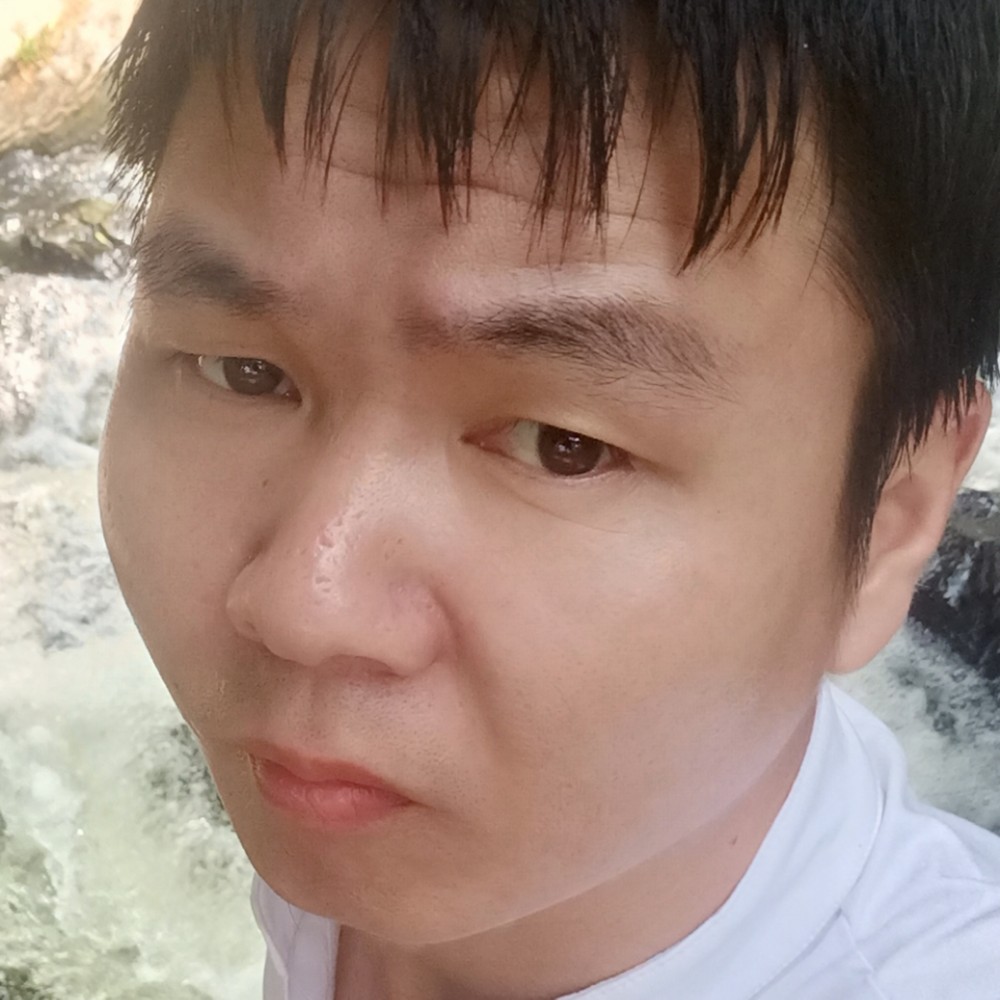 大象自由的照片