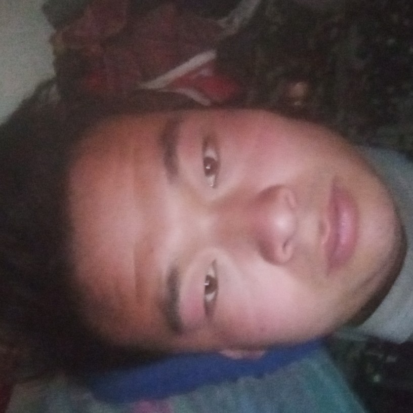 日记本方外向的照片