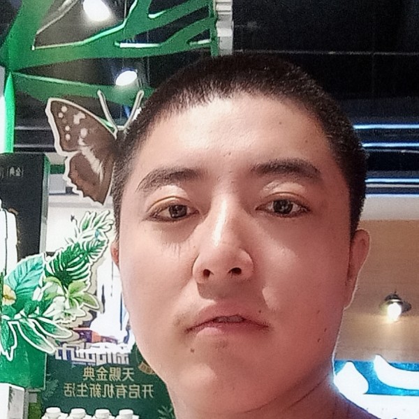 大树拾忆哭泣的照片