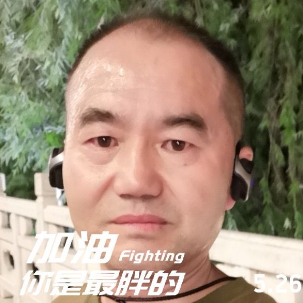 沙漠蜘蛛的照片