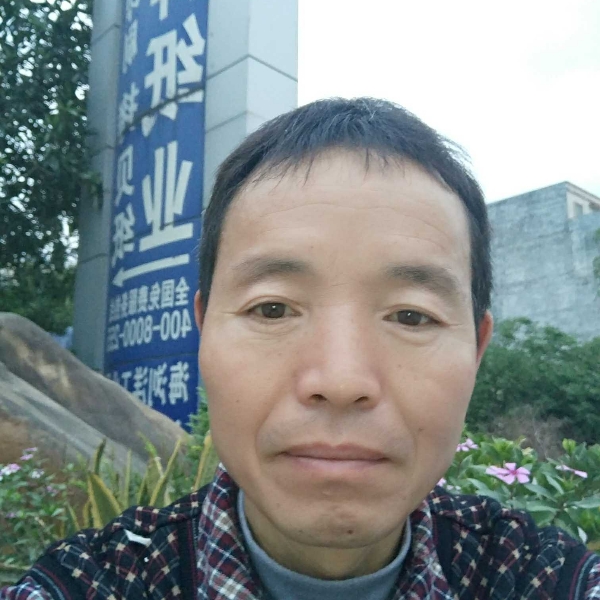 溪流透彻的照片