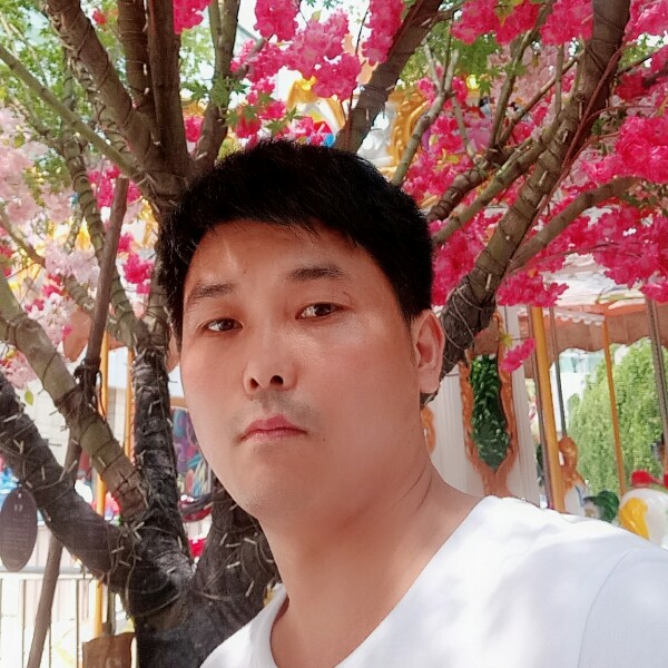 单身小白菜的照片