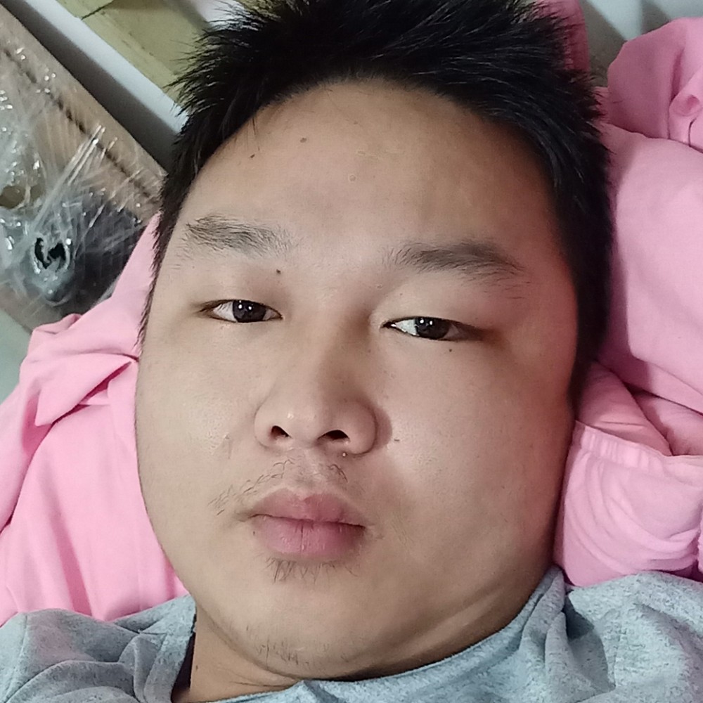 金毛停止冷静的照片
